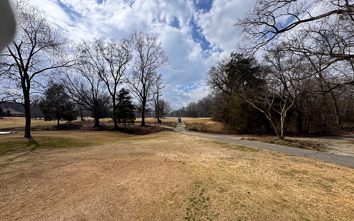 Tree-lined fairway